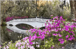 Magnolia Plantation and Gardens